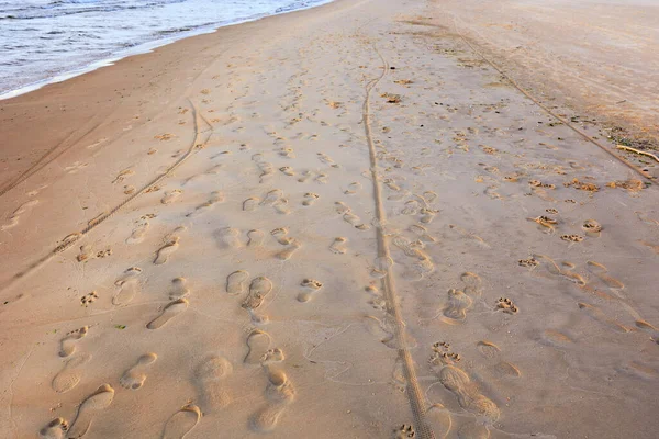 Voetafdrukken Het Zand Bij Zonsondergang — Stockfoto