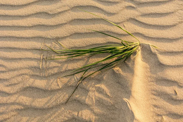 Golvende Zee Zand Achtergrond Bovenaanzicht — Stockfoto