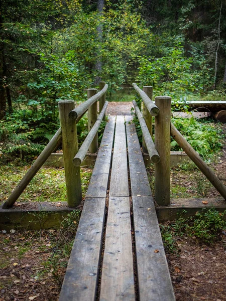 Wooden Nature Trail Forest — Stock Photo, Image