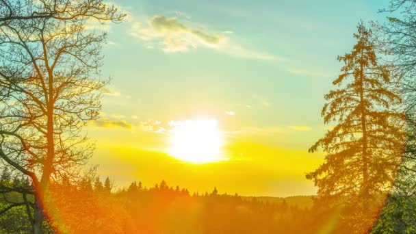 Sonnenuntergang Frühlingswald Zeitraffer — Stockvideo
