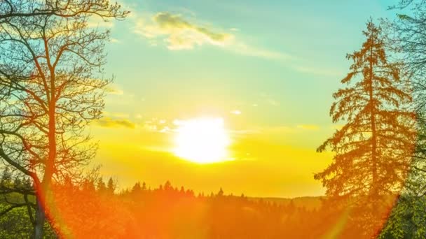 Sonnenuntergang Frühlingswald Zeitraffer — Stockvideo