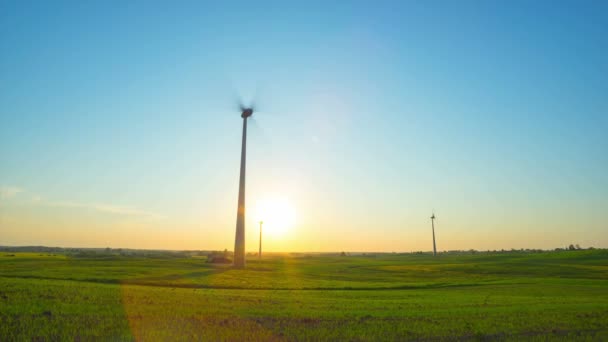 Vindkraftverk Fältet Och Solnedgången Time Lapse — Stockvideo