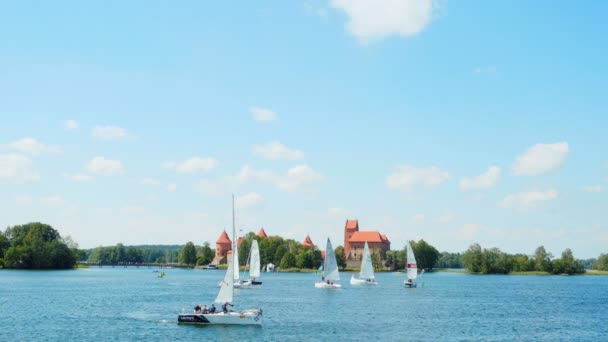 Trakai Lituânia Junho 2016 Regata Lago Perto Castelo Trakai Junho — Vídeo de Stock