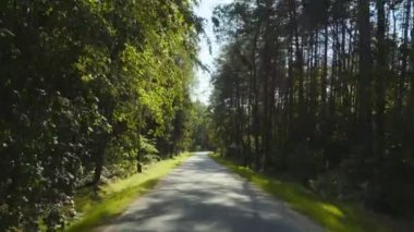 Sürüş bir orman yolda pov