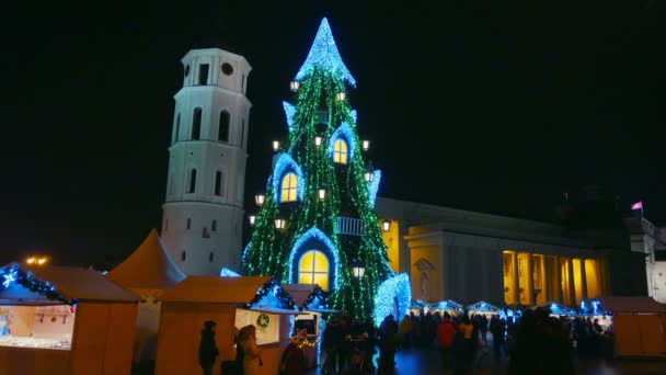 Wilno Litwa Grudnia Boże Narodzenie Targów Choinka Placu Katedralnym Grudzień — Wideo stockowe