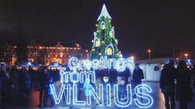 Vilnius, Litvanya - yaklaşık Aralık: Christmas adil ve Katedral Meydanı, Aralık, 2016 yılında Noel ağacı.