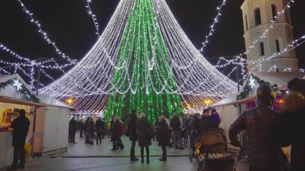 Vilnius Lituania Circa Dicembre Fiera Natale Albero Natale Piazza Duomo — Video Stock