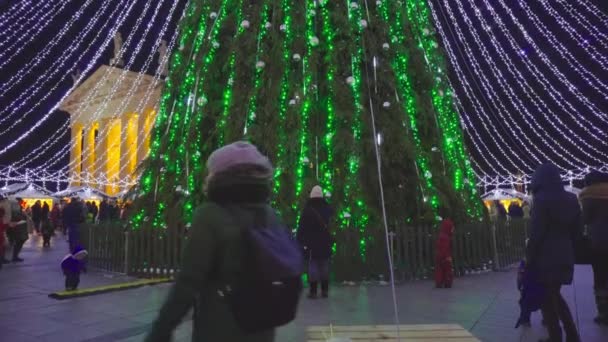 维尔纽斯 立陶宛 12月 圣诞节博览会和圣诞树在大教堂广场 2016年12月 — 图库视频影像