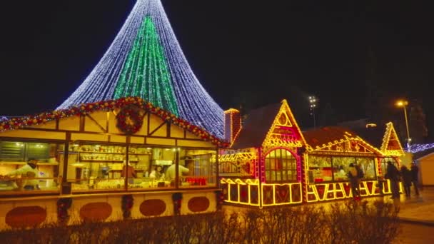 Vilnius Lituanie Vers Décembre Foire Noël Sapin Noël Sur Place — Video