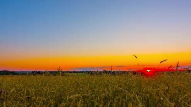 Paisagem Rural Pôr Sol Lapso Tempo — Vídeo de Stock