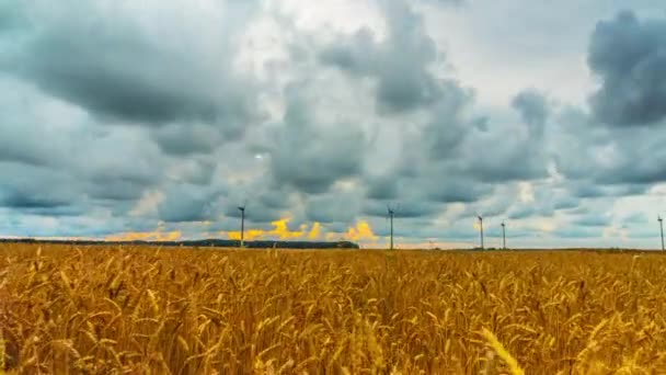 Buğday Tarlası Rüzgar Jeneratörleri Vinç Ile Zaman Atlamalı — Stok video