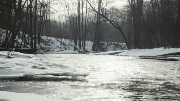 Winter River Flowing Water Ice — Stock Video