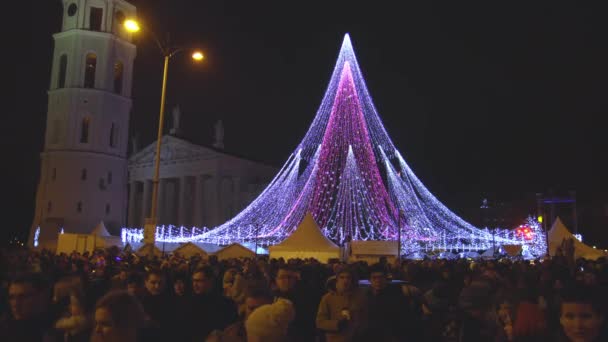 Vilnius Litouwen Circa December 2017 Kerstboom Versierde Stad Vilnius Mensen — Stockvideo