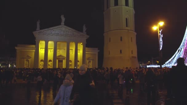 Wilno Litwa Circa Grudzień 2017 Choinka Udekorowane Miasto Wilno Ludzie — Wideo stockowe