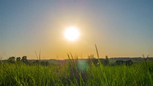 Ηλιοβασίλεμα Και Αγροτικό Τοπίο Χρονολήξη Γερανό — Αρχείο Βίντεο