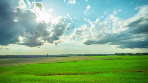 緑のフィールド 太陽と雲 タイムラプス — ストック動画
