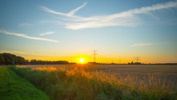 Område Mogna Vete Och Solnedgång Time Lapse — Stockvideo