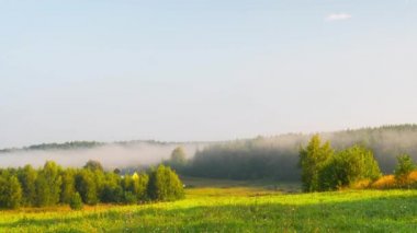 Vadide sabah sisi, hızlandırılmış