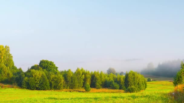 山谷中的晨雾 — 图库视频影像
