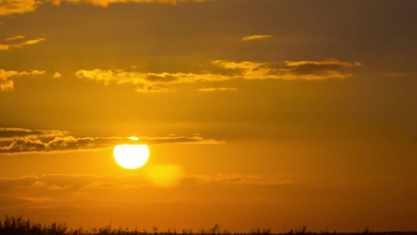 Sunset Big Red Sun Time Lapse — Stock Video