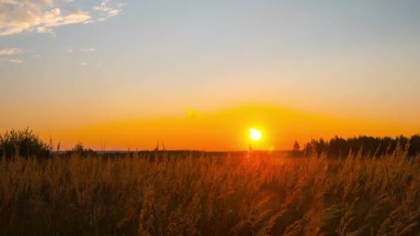 Zachód Słońca Wiejski Jesienny Krajobraz Poklatkowy — Wideo stockowe
