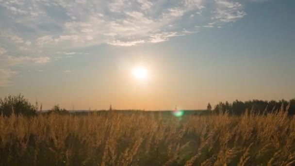 Ηλιοβασίλεμα Και Αγροτικό Φθινοπωρινό Τοπίο Χρονολήξη — Αρχείο Βίντεο