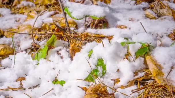 Neve Derrete Primavera Lapso Tempo — Vídeo de Stock