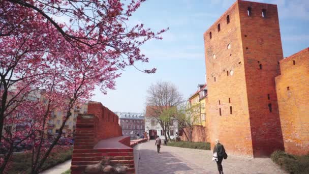 Polonia Varsovia Circa Abril 2019 Turistas Caminando Por Casco Antiguo — Vídeos de Stock