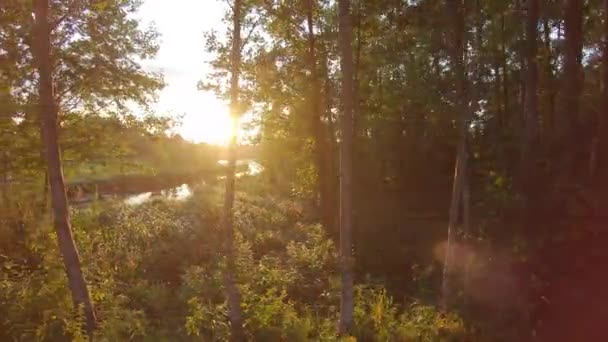 Waldsee Bei Sonnenuntergang — Stockvideo