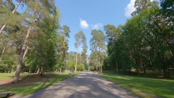 Radfahren Sommerpark — Stockvideo