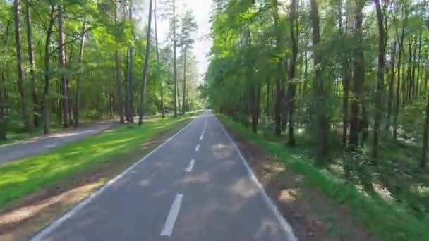 Cyklistika Letním Parku — Stock video