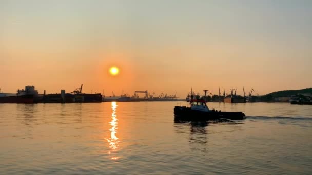Gdingen Polen August 2019 Manövrieren Eines Kleinen Schiffs Hafen Von — Stockvideo