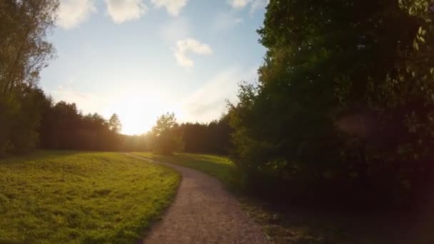 Spaziergang Durch Die Schöne Wiese Mit Der Sonne Bei Sonnenuntergang — Stockvideo