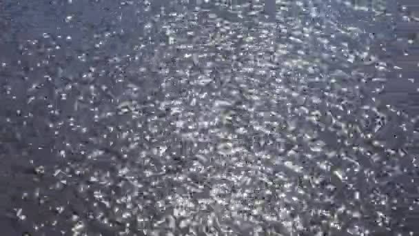 水面上的太阳光 — 图库视频影像