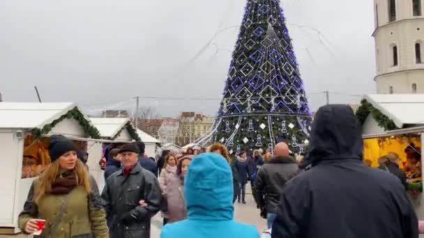 Vilnius Lituania Circa Diciembre 2019 Árbol Navidad Mercado Plaza Catedral — Vídeo de stock