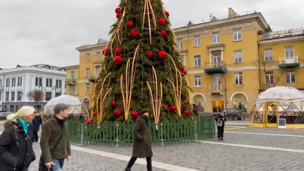 Vilnius Lituânia Cerca Dezembro 2019 Árvore Natal Mercado Praça Câmara — Vídeo de Stock