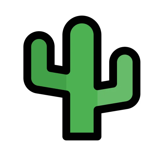 Pustynia Cactus Soczyste Wektor Ikona Designu — Wektor stockowy