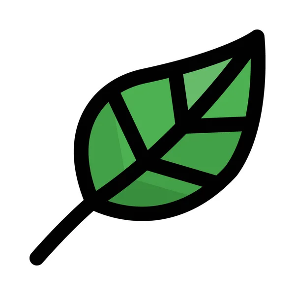 Pflanzenblatt Isoliert Vektor Icon Design — Stockvektor