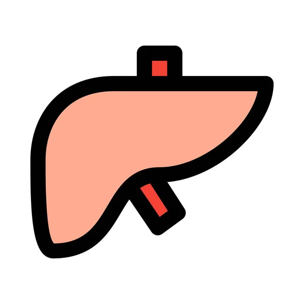 健康的肝脏护理 医学载体图标 — 图库矢量图片