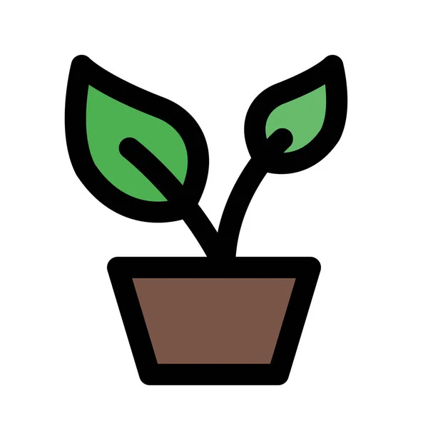 Planta Sembrada Semillas Diseño Del Icono Del Vector — Vector de stock