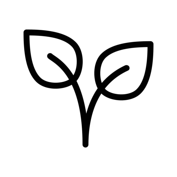 Εικονογράφηση Διάνυσμα Φυτό Φύλλα Φύση — Διανυσματικό Αρχείο