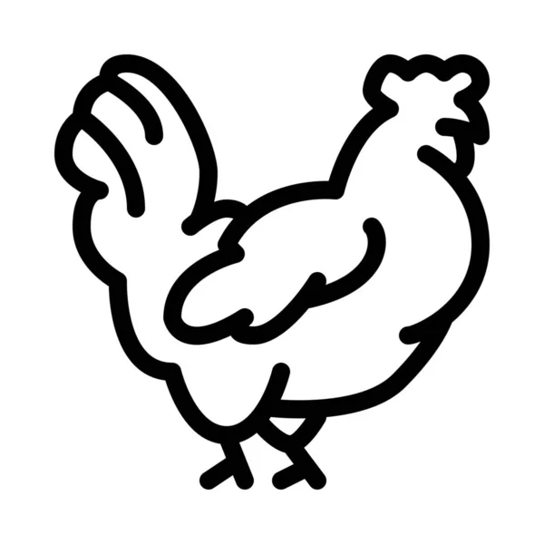 Aves Domesticadas Pollo — Vector de stock