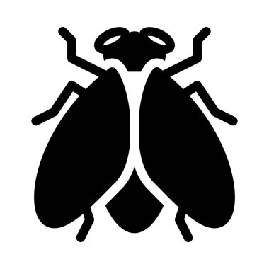 House sinek veya beyaz arka plan üzerinde izole hata