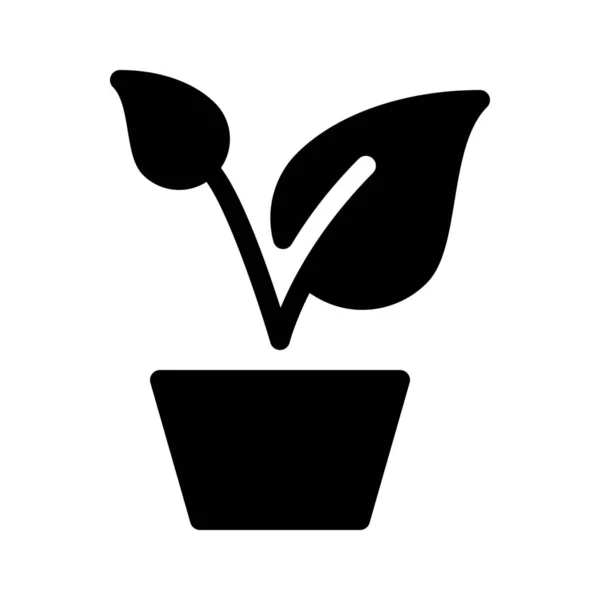 Plantă Oală Izolată Fundal Alb — Vector de stoc