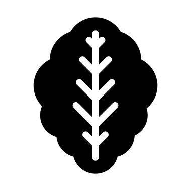 beyaz zemin üzerine yeşil marul yaprağı