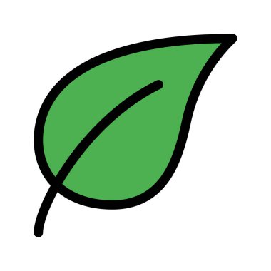 Beyaz arkaplanda yaprak izole edildi