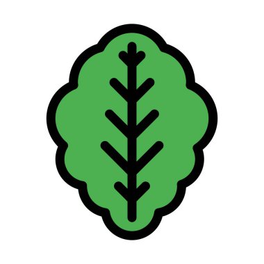 Yeşil marul yaprağı, vektör çizim