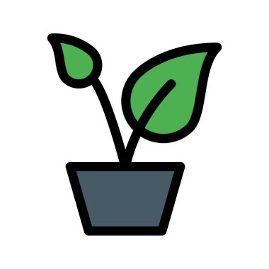 Beyaz arkaplanda izole edilmiş saksı bitkisi