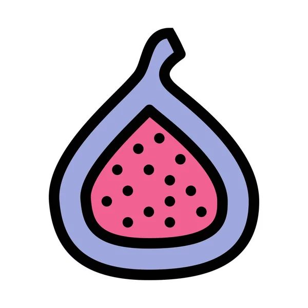 Common Fresh Fig Vector Illustration — Stock Vector