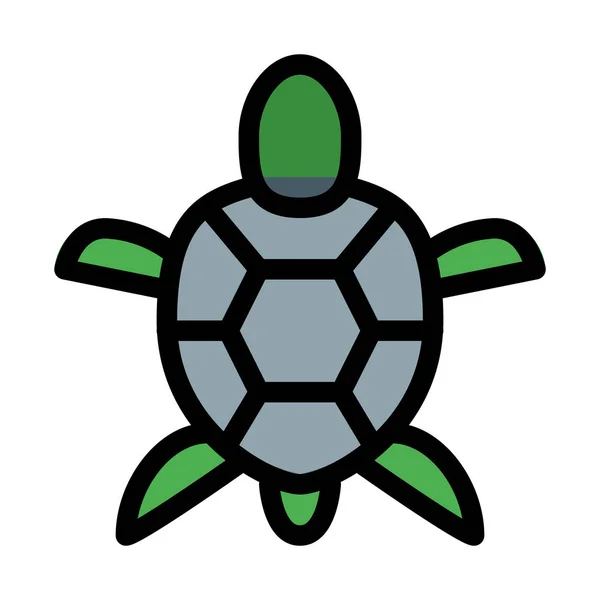Черепаха Або Черепаха Векторні Ілюстрації — стоковий вектор